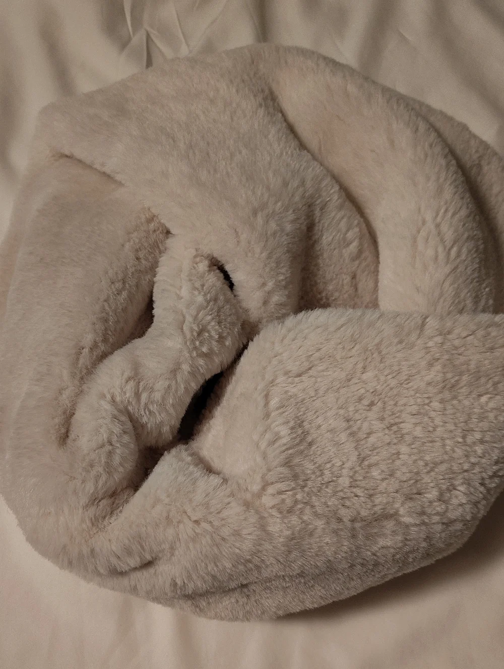 Cozy Plush Faux Fur Infinity Scarf - Cream